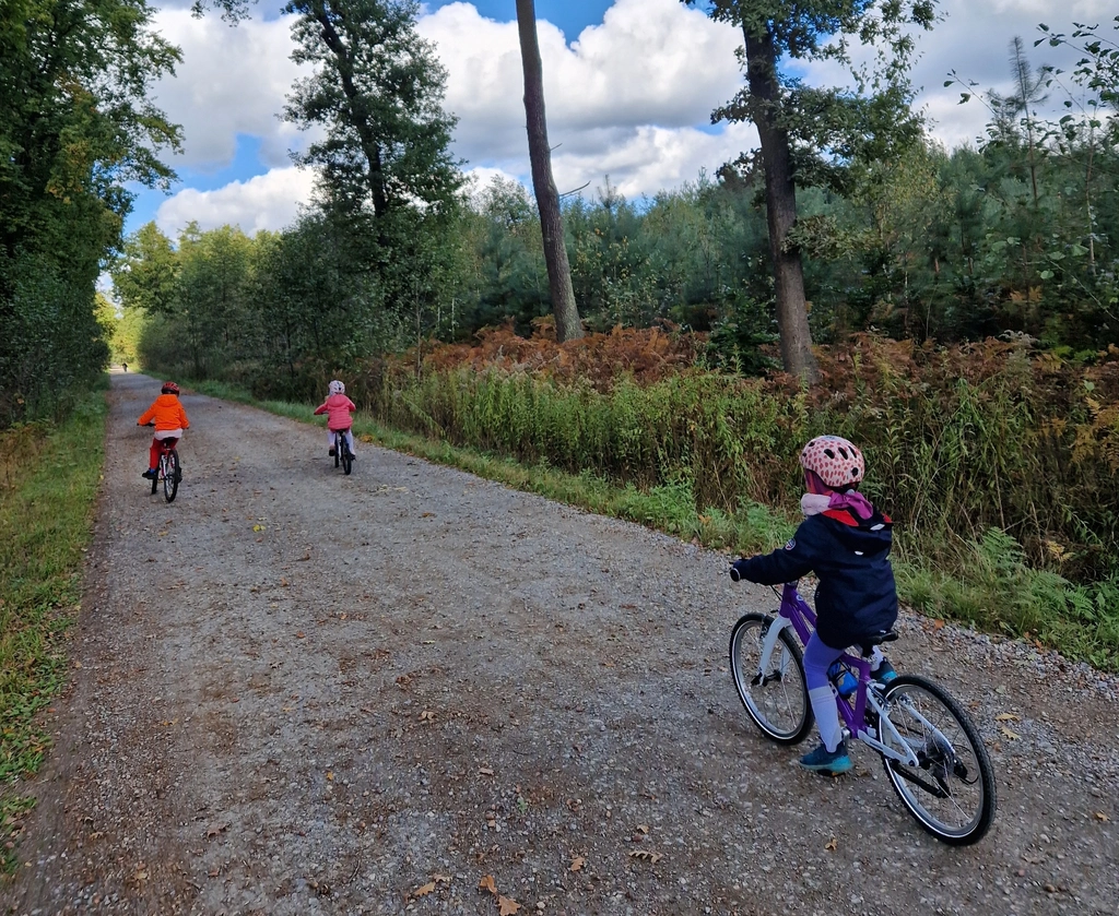 Wycieczki rowerowe Free From City